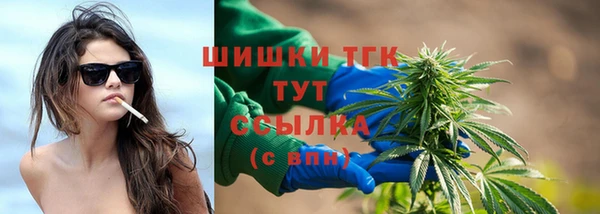 гидра Вязьма