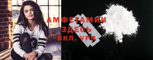 гидра Вязьма