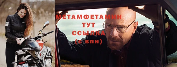гидра Вязьма