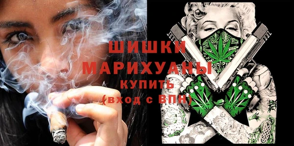 гидра Вязьма