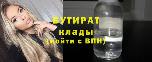 гидра Вязьма