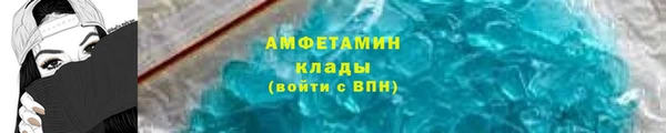 гидра Вязьма