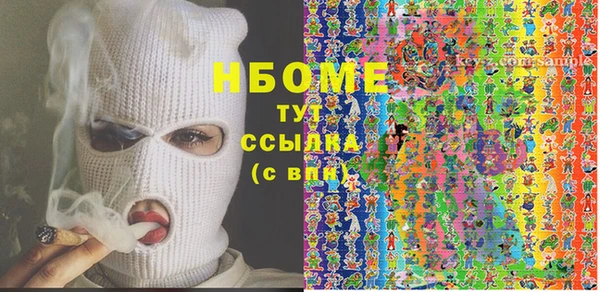 гидра Вязьма