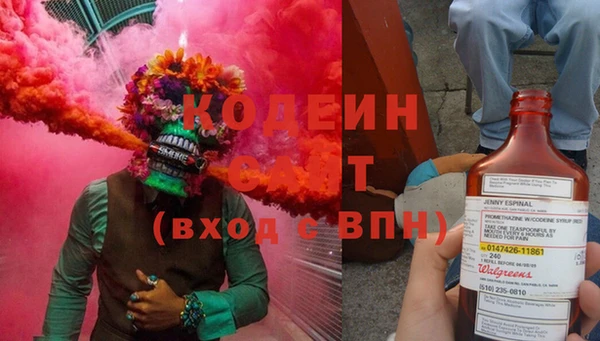 гидра Вязьма