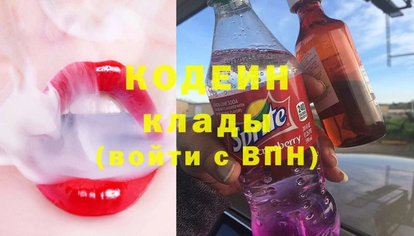 гидра Вязьма
