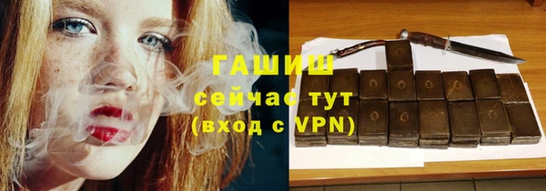 гидра Вязьма