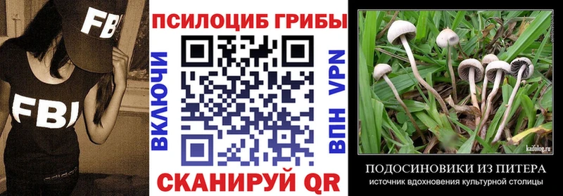 Галлюциногенные грибы Psilocybe  mega сайт  Камышлов  как найти наркотики 