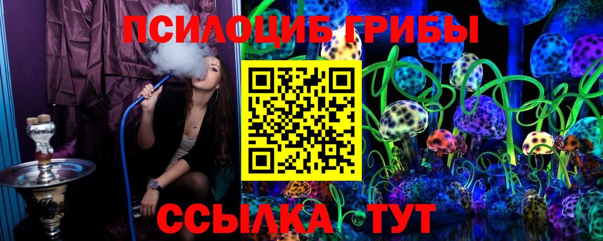 Псилоцибиновые грибы MAGIC MUSHROOMS  Вход с VPN  Камышлов 