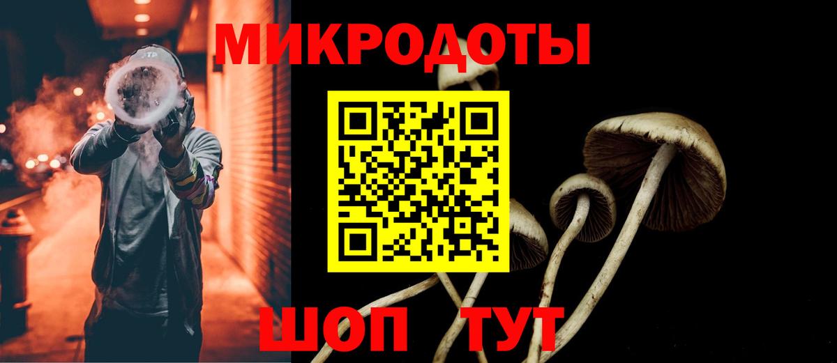 Псилоцибиновые грибы GOLDEN TEACHER Камышлов