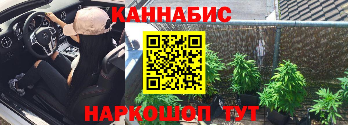 Шишки марихуана VHQ  Канабис MAZAR  Камышлов  Вход с VPN  Конопля индика 